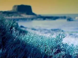 Parco Della Rocca Punta Braccetto